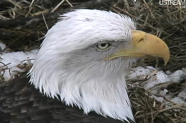 ScreenHunter_15 Feb. 21 10.58.jpg